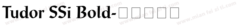 Tudor SSi Bold字体转换